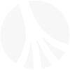 Rootstone Symbol